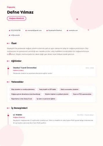 Yönetici CV Örnekleri cv indir